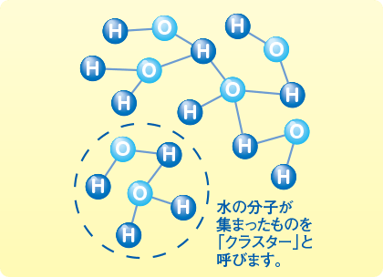 どんなに優れた水でも、体内に吸収されなくてはその効果を発揮できません。